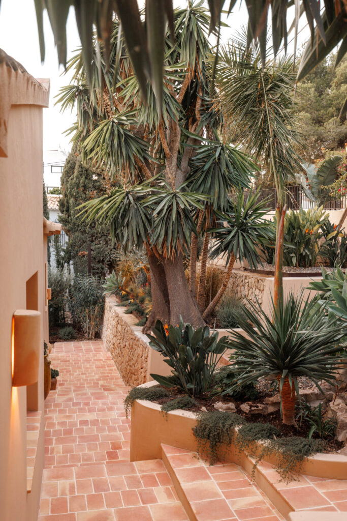 JARDÍN MEDITERRÁNEO. EN EL SUELO BALDOSAS DE BARRO COCIDO HECHAS A MANO.